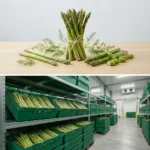 Buy Asparagus in UK supplier Quality Crops UK