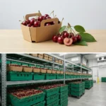 Buy Cherries Small Box in UK supplier Quality Crops UK