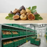 Buy Dry Figs in UK supplier Quality Crops UK