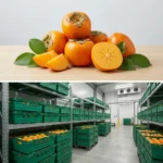 Buy Kaki Fruit in UK supplier Quality Crops UK