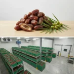 Buy Loose Dates in UK supplier Quality Crops UK