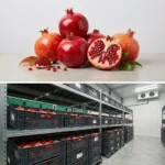 Buy Pomegranate in UK supplier Quality Crops UK