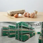 Buy Pre-packed Eggs in UK supplier Quality Crops UK