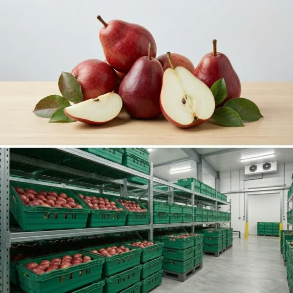 Buy Red Pear in UK supplier Quality Crops UK