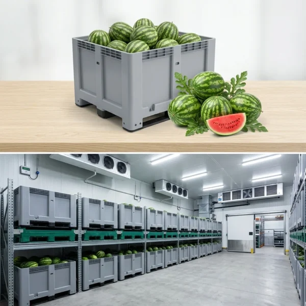 Buy Watermelon Bin in UK supplier Quality Crops UK