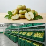 Buy flat Pear in UK supplier Quality Crops UK
